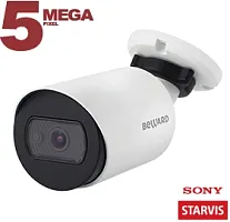 Видеокамера сетевая (IP) SV3210RC